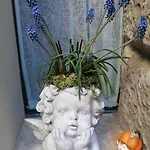 Verona Goddess House